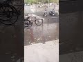 Hivy Rain in chandigarh