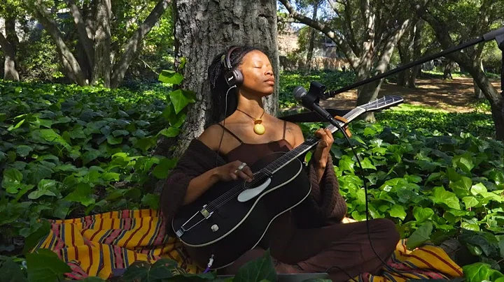 Meadow Spirit (1hr) - Healing Heart Frequency - Feel the Warmth of the Sun thumbnail