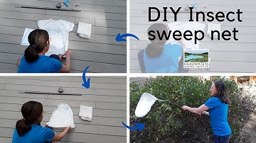 Weekly Science Challenge #6: Make an insect sweep net