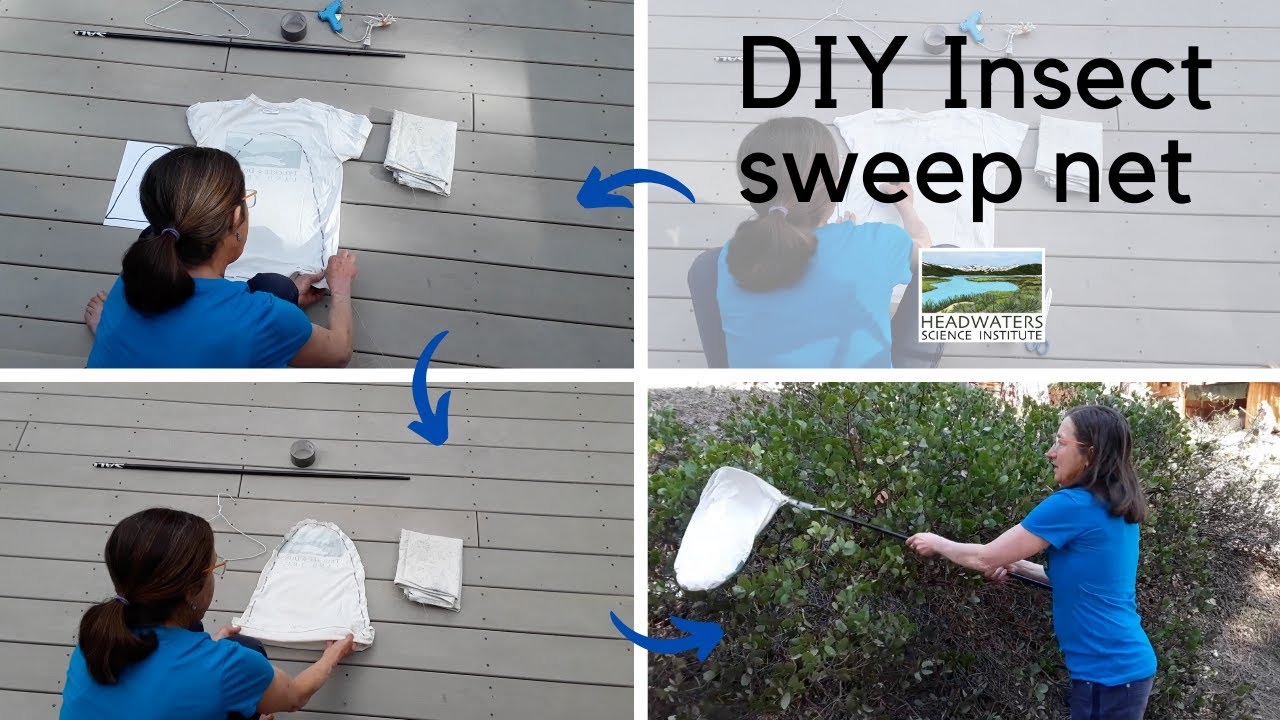 Weekly Science Challenge #6: Make an insect sweep net 