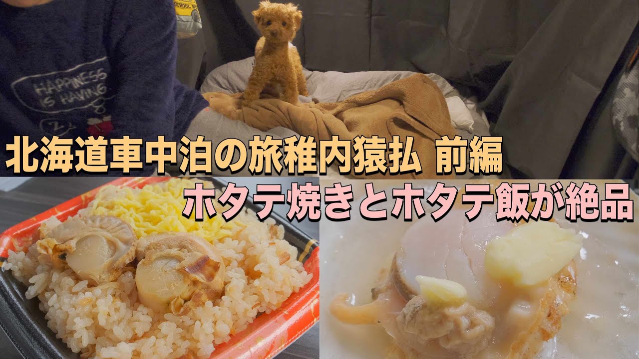 フリード 行く夫婦と犬の車中泊ドライブ旅 稚内猿払前編 美味しいホタテ料理を堪能 Youtube