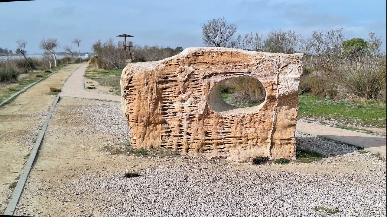 Dos excursiones desde Hotel Miami Mar de La Rápita a Delta del Ebro y Alcanar