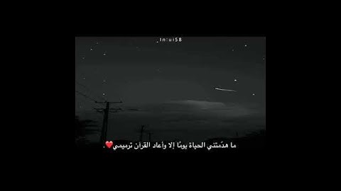 سورة ص من الآية ٢٩ إلى الآية ٣٠ بصوت الشيخ إسلام صبحي 🌺