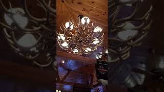 muddy moose restraunt