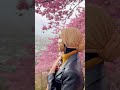 いきものがかり - SAKURA by icazahra #cover #歌ってみた #icazahra #イチャザハラ #ikimonogakari #いきものがかり