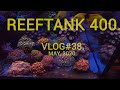 Reef Tank 400.Vlog#38. May, 2020.