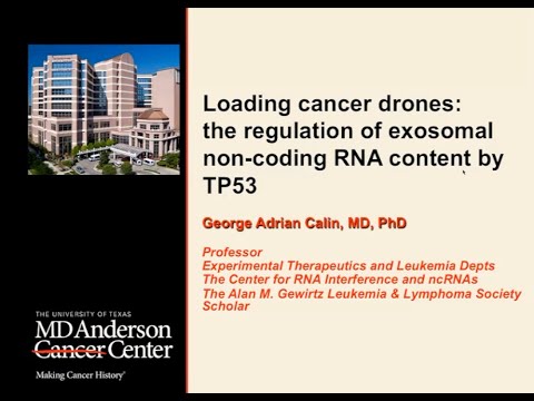 ERCC Webinar: Loading cancer drones:  the regulation of exosomal non-coding RNA content by p53