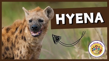 Kids Educational Videos | Kindergarten and Elementary ENGLISH | SCIENCE | 🐾 All About Hyenas !!