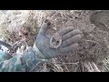 Повезло! Немецкий наградняк в котле. Коп по войне. Metal detecting WW2.