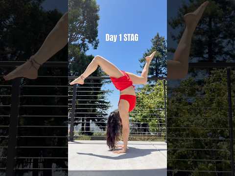 Handstand Challenge 🙌🏼