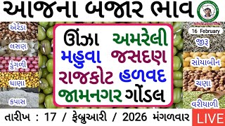 🌶મરચા🧄લસણ🧅ડુંગળી, Mahuva Apmc Onion Price Today | Gondal Market Yard Bhav | Jeera Market In Gujarat  screenshot 2