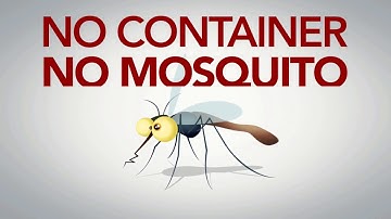 Dengue 30 sec Tv Ad Final Cut 1