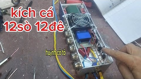 kích cơ 12sò 12đê đi bộ tổng hợp các loại cá