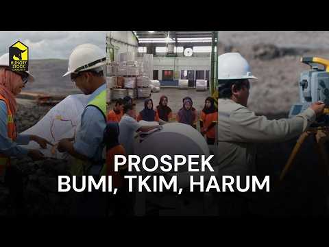 Prospek BUMI, TKIM, HARUM