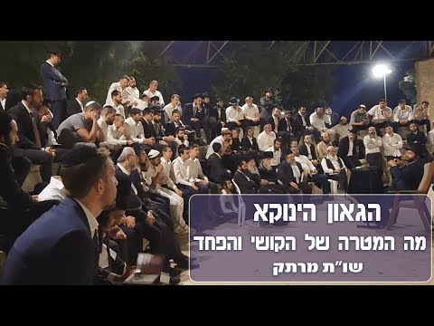 מה המטרה של הקושי והפחד שו ת מרתק עם הגאון הינוקא במוצאי שבת TheYanukaRavShlomoYehuda הינוקא 