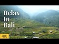 Bali Nature Video 4K | Nature Relaxation Landscape 4K | Relaxing Scenery | Calming Music | Aerial