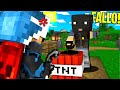 IL BIG LADRO MI COMANDA NEL MONDO DEGLI YOUTUBER - MINECRAFT ITA