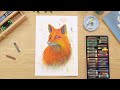 Beginning of video