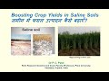 Boosting Crop Yields in Saline Soils. जमीन में फसल उत्पादन कैसे बढ़ाएँ? Dr P. C. Patel
