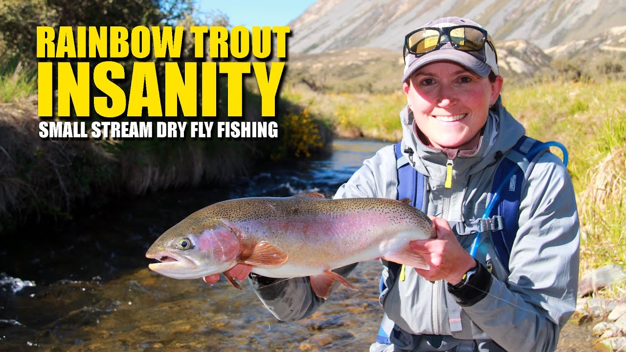 Rainbow Trout Insanity - Small Stream Dry Fly Fishing EPIC - YouTube