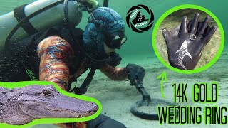 Found 14K D Wedding Ring While Scuba Diving A Crystal Clear Florida Spring Alligator Encounter
