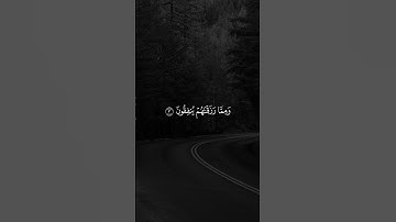 ايات من سورة البقره للقارئ حمزة معاذ ..... #quran #qurankareem #قرآن #آيات #islam #islamic #