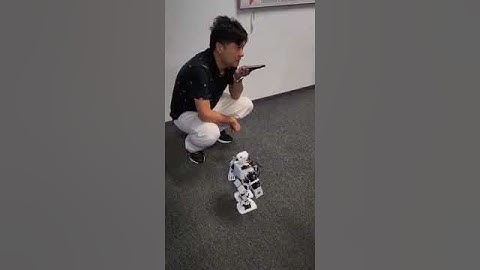 Amazon Nova Sonic Speech to Speech Interactive Humanoid