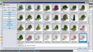 Přehled Stromů A Keřů V Knihovně Modelů Rostlin Programu Nbl 2014