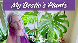 She Took My Props and Made Them THRIVE | Plant Tour