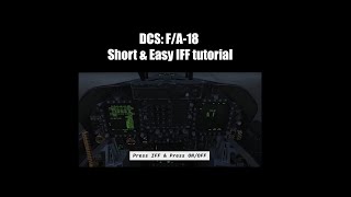 Famous DCS: F/A-18  Short & Easy IFF tutorial Wealth