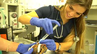 Meet Our Students: Bridget Savitske