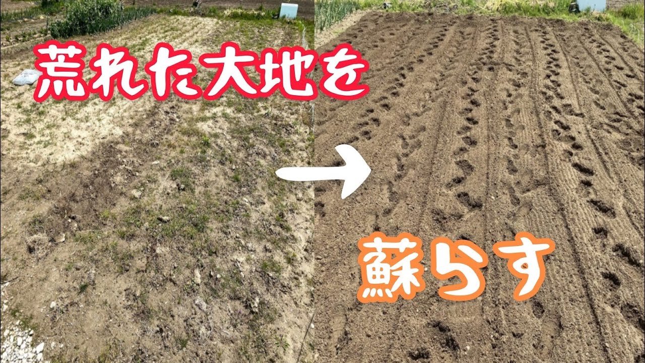 家庭菜園】畑を耕す！今年もマメトラ君に頑張ってもらうぞ！「Plow the 