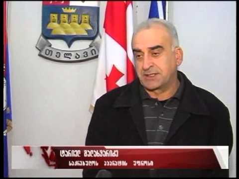 საკრებულოს ფრაქცია „ნაციონალი\" დაიშალა