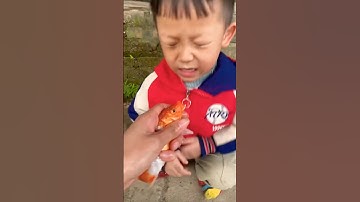 Con cá hư quá làm pipi khóc rồi bắt nó nấu canh thôi #shortvideo #funny