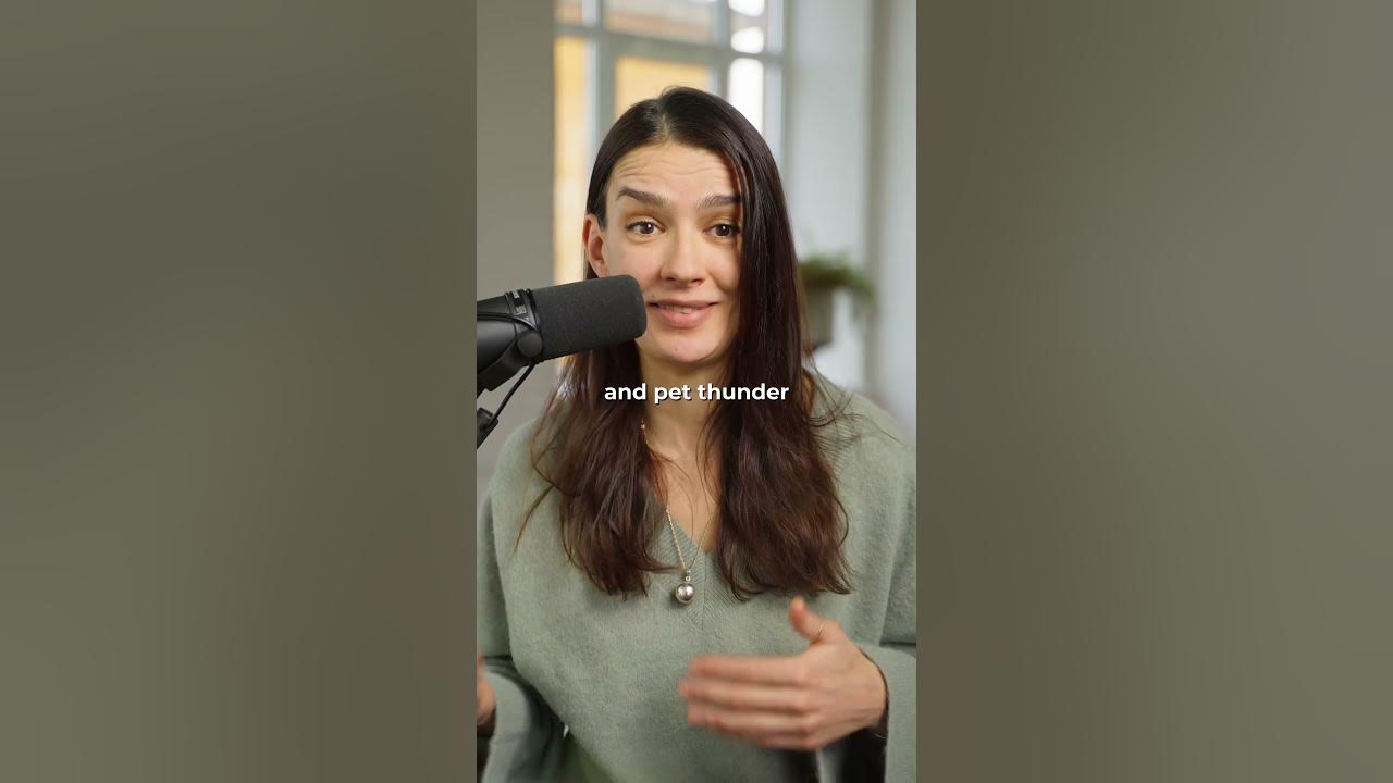 Plants vs Air Purifiers YouTube