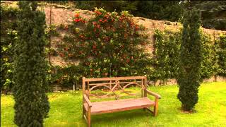 The Garden Gurus - Growing Apples at Home