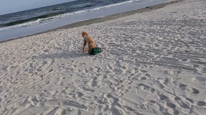 catching at the beach