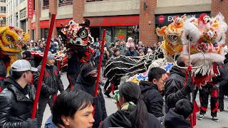 Lion Dance Dancing 2024 Chinese Lunar New Year Boston Chinatown 舞狮 舞獅 Múa Lân Barongsai Tarian Singa