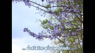 เพลงร่มศรีตรัง