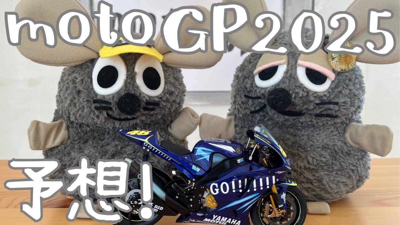 WGP&MotoGP☆RACERS/SPECIAL 張り替え ISSUE/外伝→55冊！