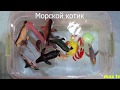 Морские животные. Обучающее видео для детей. Игрушечные животные и настоящие в дикой природе.