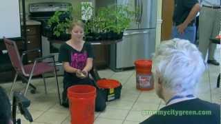 Green City Growers at Cadbury Commons