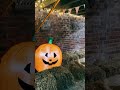 Spooky cauldron dinner for kids parties #fok #halloween #whitch #cauldron