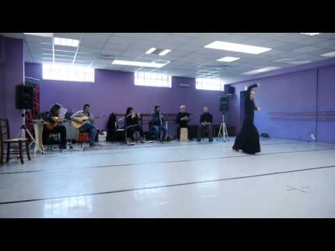 ARCHIVIO CONCORSO FLAMENCO PURO 2013 - SOLISTI IN PROGRESS camera iphone 8 plus apk