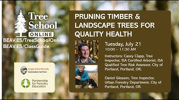 Tree School Online: Pruning Timber and Landscape Trees for Quality Health