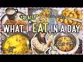 What I Eat In A Day (no diet) | All Indian Meals + Cooker Cake Recipe ! ThatQuirkyMiss