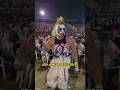 Mi mesa cul*ros #luchalibre