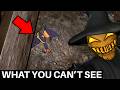 What Zardy's Cave Hides From You