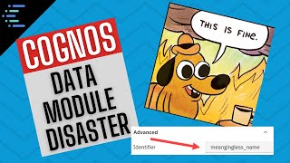 Famous Identifiers vs labels in Cognos Data Modules Wealth