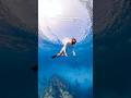 How far did you make it? Tell us below 👇🏼 #insta360 #insta360x5 #freediving #holdyourbreath #wreck